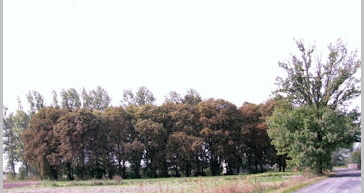 Bild 013.F08 Ev. Friedhof Rothendorf